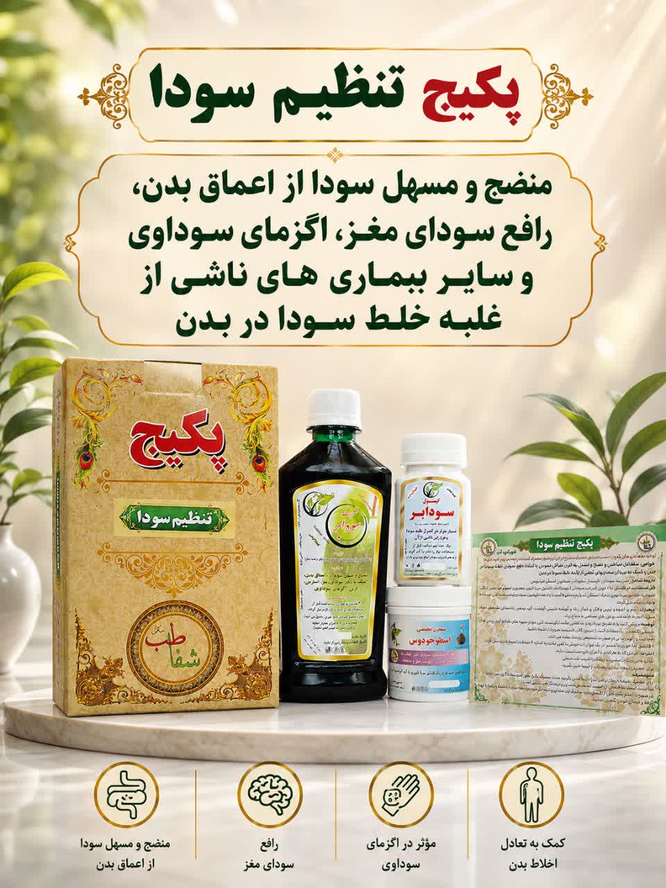 پکیج تنظیم سودا
