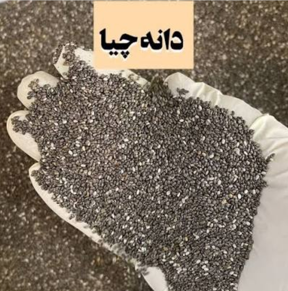 دانه چیا