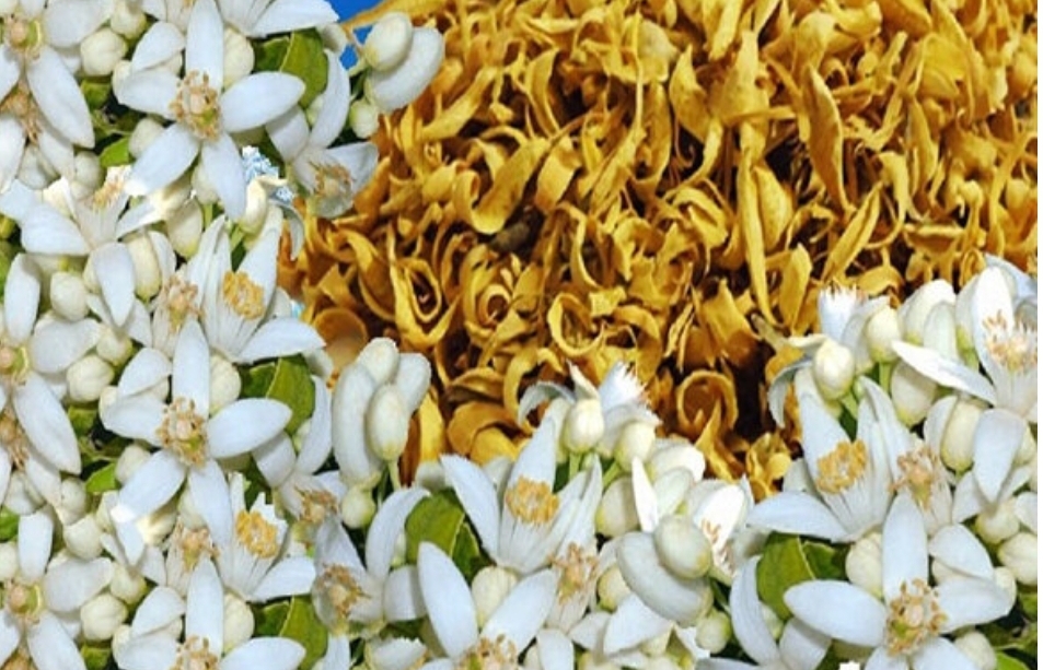 بهارنارنج