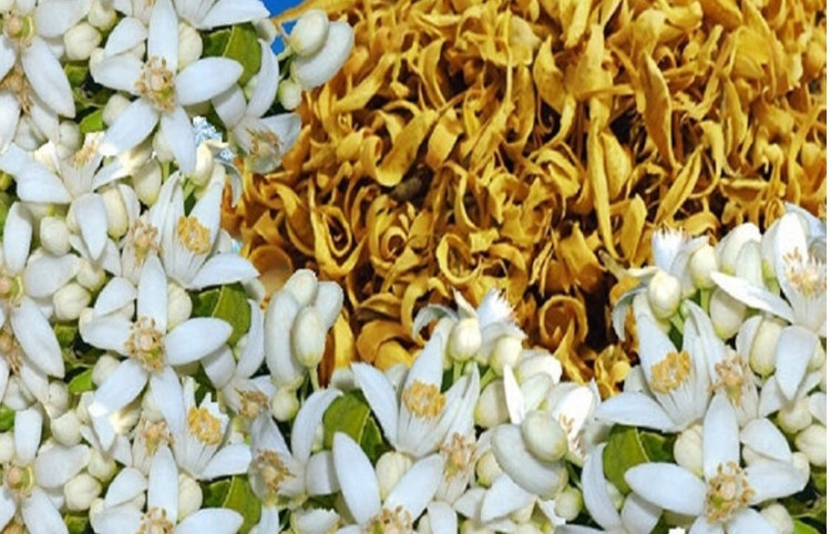 بهارنارنج