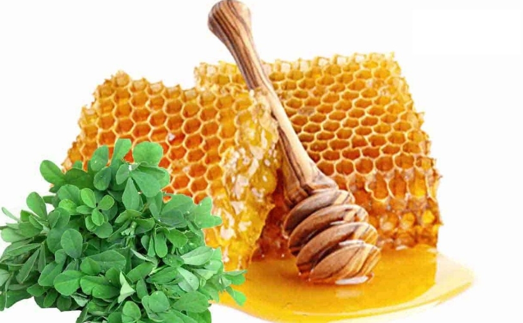 عسل یونجه