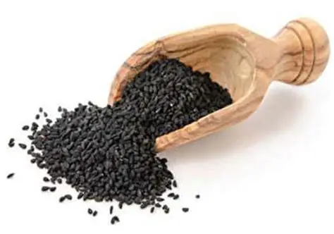 سیاه‌دانه