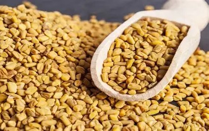 دان شنبلیله