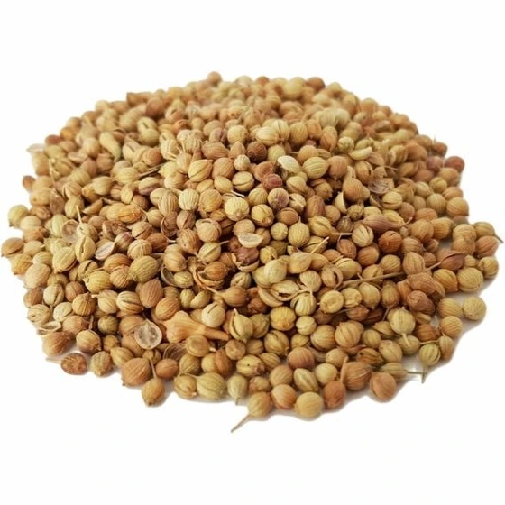تخم گشنیز قلم